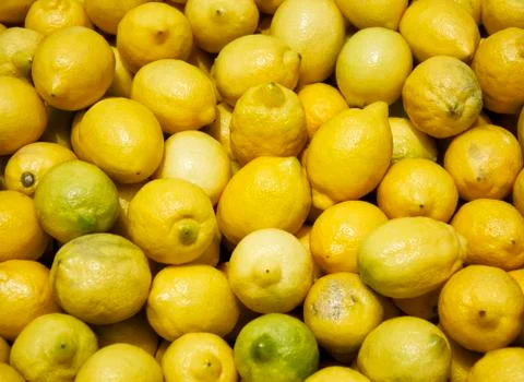Lemon Foto stock