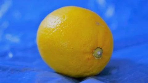 Lemon Stock Photos
