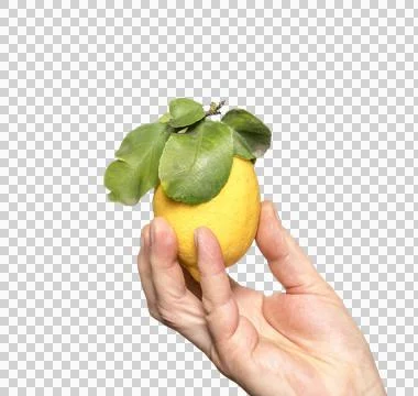 A lemon Stock Photos