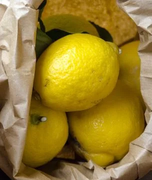 Lemon Portrait Stock Photos