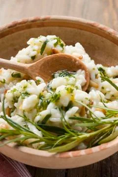 Lemon risotto with pine nuts, herb oil and rosemary 写真素材
