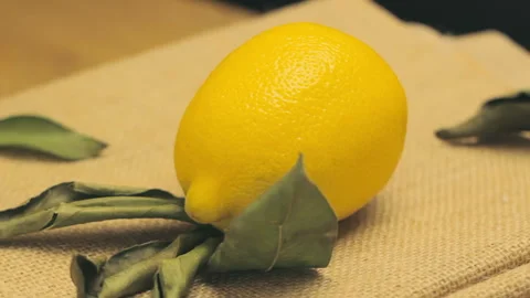 Lemon Rotate On Canvas Surrounded By Withered Leaves Of Citric Tree Stock Footage 100193433
