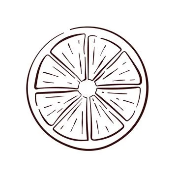 Lemon round slice in line art style. Tropical summer citrus fruit piece with Stock Illustration