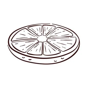 Lemon round slice in line art style. Tropical citrus hand drawn fruit piece with Stock Illustration