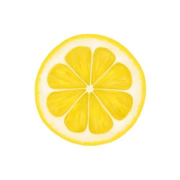 Lemon round slice. Realistic illustration isolated on white background. Lemon Stock Illustration