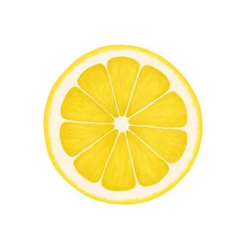 Lemon round slice. Realistic illustration isolated on white background. Lemon Stock Illustration