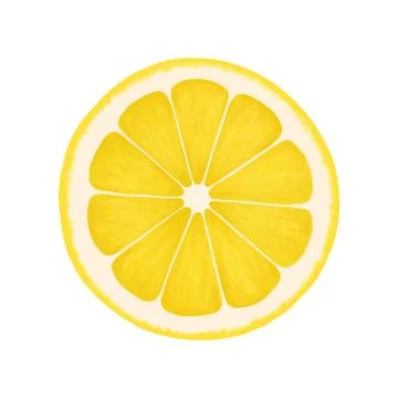 Lemon round slice. Vector realistic illustration isolated on white background Illustration