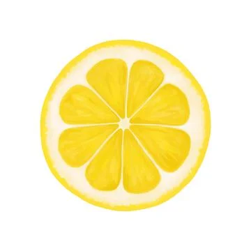 Lemon round slice. Vector realistic illustration isolated on white background Illustration