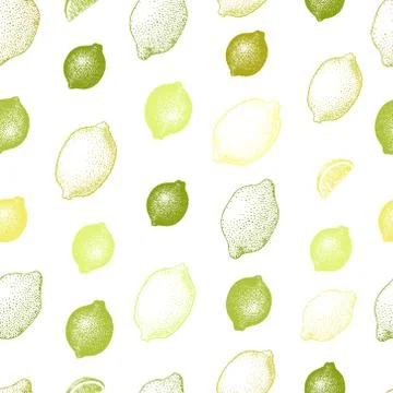 Lemon seamless pattern. Hand drawn vector fruit illustration. Engraved style Stock-Illustration