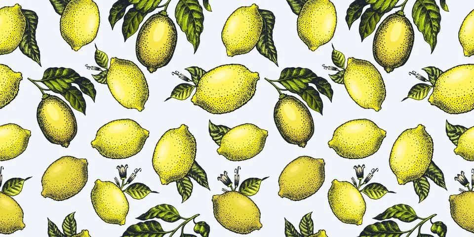 Lemon seamless pattern. Hand drawn vector fruit illustration. Engraved style. Illustrazione stock