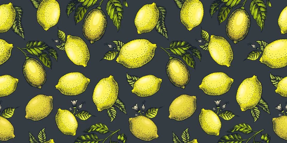Lemon seamless pattern. Hand drawn vector fruit illustration on dark backgrou Stock Illustration