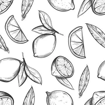 Lemon seamless pattern. Hand drawn citrus fruit Stock Illustration