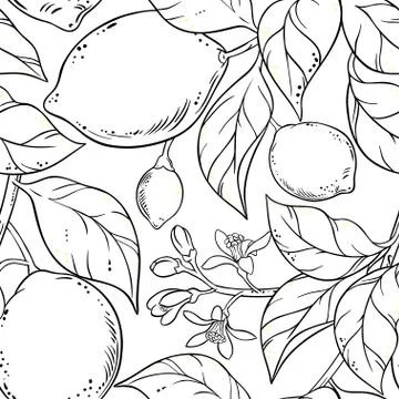 Lemon seamless pattern Stock Illustration