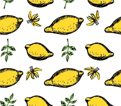 Lemon Seamless Pattern, summer fruit design Stock Illustration