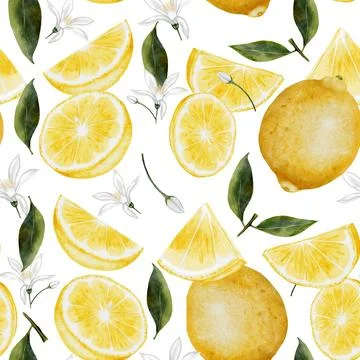 Lemon seamless pattern watercolor. Hand drawn tropical sour fruit. Clip art of Stock Illustration