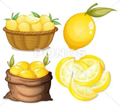 Lemon set Stock Illustration