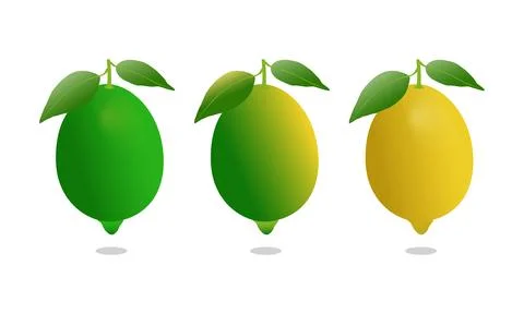 Lemon set vector design Stock Illustration