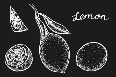 Lemon set vector Stock Illustration