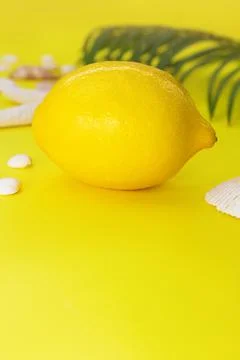 Lemon with shells and palm tree behind on yellow background Stock-Fotos