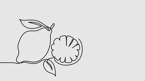 Lemon single line animated illustration. One continuous self drawing line Stock Footage 301601698