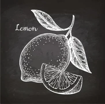 Lemon sketch on chalkboard Stock Illustration