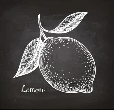 Lemon sketch on chalkboard Stock Illustration