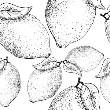 Lemon sketch pattern. Hand painted black lemons on white, monochrome seamless Stock Illustration