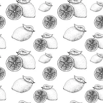 Lemon sketch pattern. Hand painted black lemons on white, monochrome seamless Stock Illustration