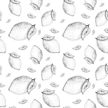 Lemon sketch pattern. Hand painted black lemons on white, monochrome seamless Stock Illustration