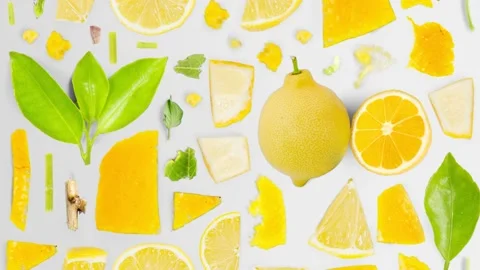 Lemon Slice and Leaf Collection Video stock 218449285