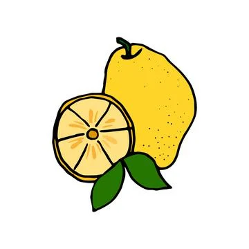 Lemon with a slice and a leaf. Vector illustration on an isolated white backg Stock Illustration