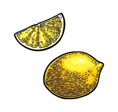 Lemon Slice and whole. Vector color vintage engraving Stock Illustration