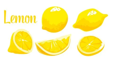 Lemon Slice and whole. Vector color vintage engraving Stockillustratie