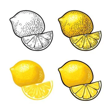Lemon Slice and whole. Vector color vintage engraving and flat Stock Illustration