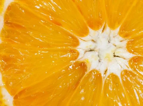 Lemon slice background Stock Photos