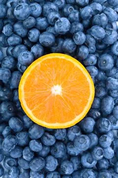 Lemon slice on a bed of blueberries in bright natural light Stock Photos