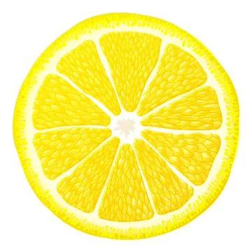 Lemon slice close up Stock Illustration