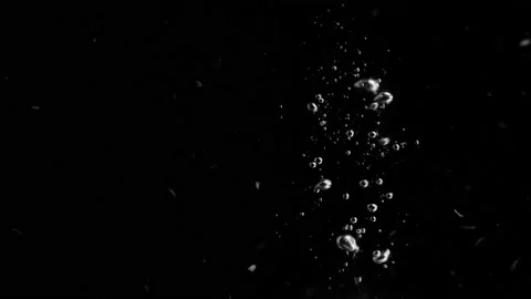 Lemon Slice Falling into Water Super Slowmotion, Black Background, lots of Stock Footage 145729699