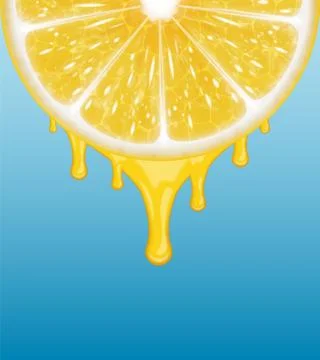 Lemon slice Illustrazione stock