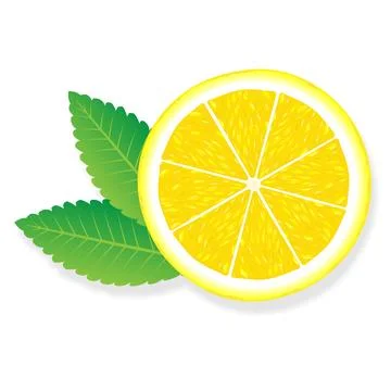 Lemon slice illustration for web isolated on white background Stock Illustration