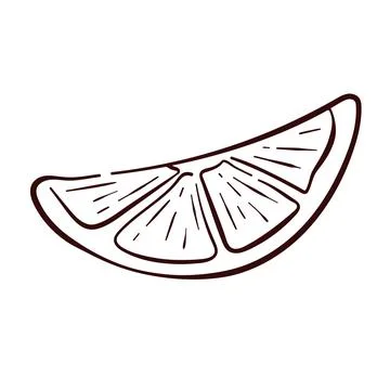Lemon slice in line art style. Simple hand drawn citrus fruit illustration for Stock Illustration