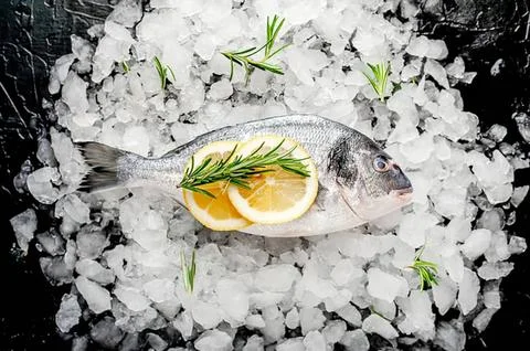 Lemon slice with mint leaves on crushed ice Stock Photos
