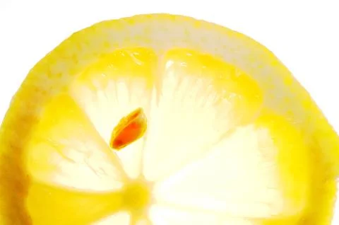 Lemon slice Stock Photos