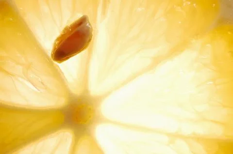 Lemon slice Stock Photos