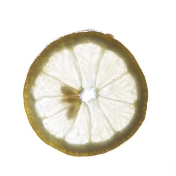 Lemon slice Stock Photos
