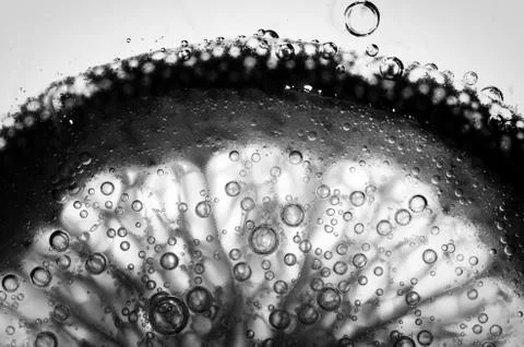 Lemon slice Stock Photos