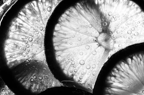 Lemon slice Stock-Fotos