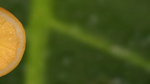 Lemon Slice Rotating with Forest Background in 60p Stock Footage 337014576
