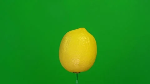 Lemon slice spin on green screen Stock Footage 143517823