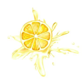 Lemon slice with splash. Hand drawn fresh yellow fruit isolated on white Stock Illustration